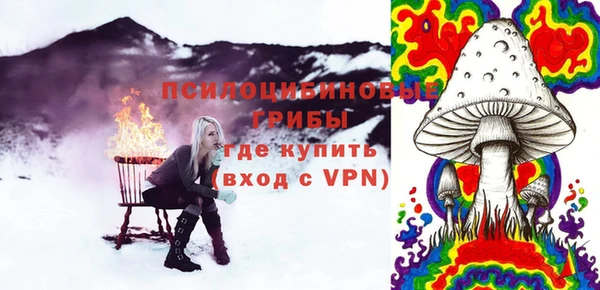 apvp Дмитровск