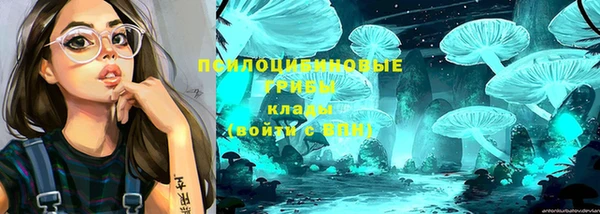 apvp Дмитровск