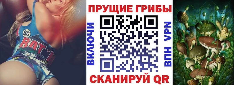 Псилоцибиновые грибы MAGIC MUSHROOMS  продажа наркотиков  Подольск 